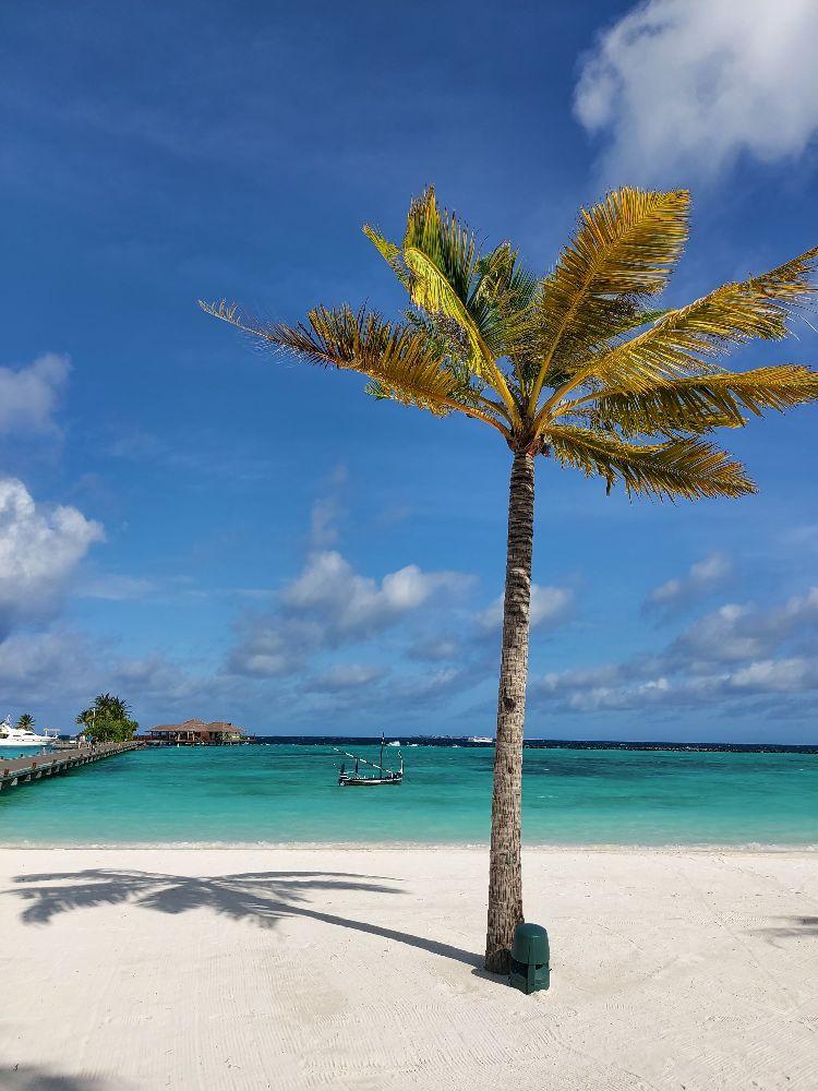 Maldives